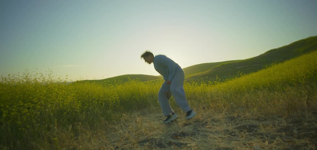 Person performs a backflip in an open field at sunset