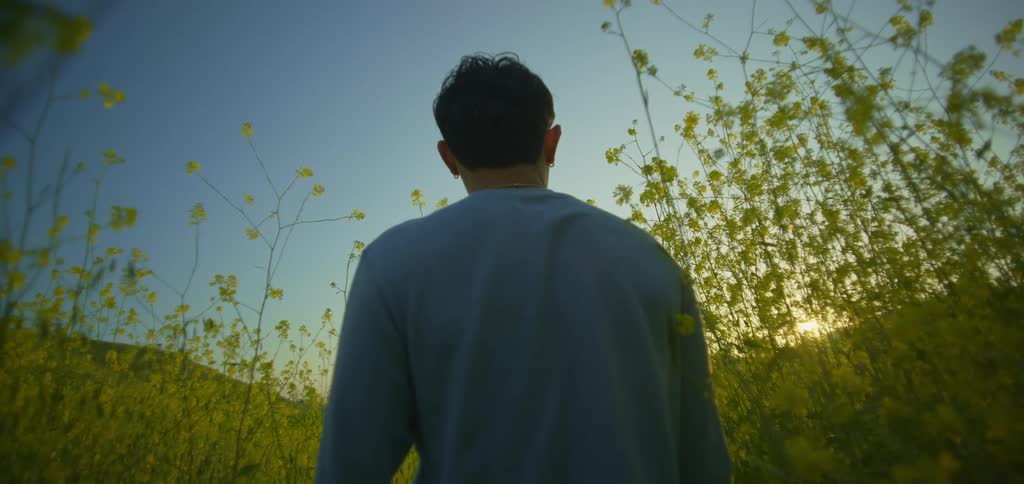 The man is standing in the tall grass