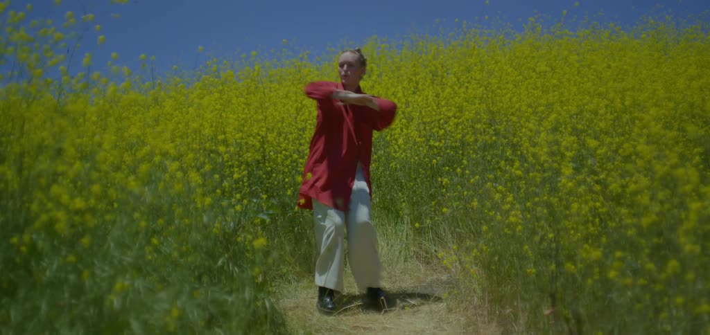 A woman dancing in a field