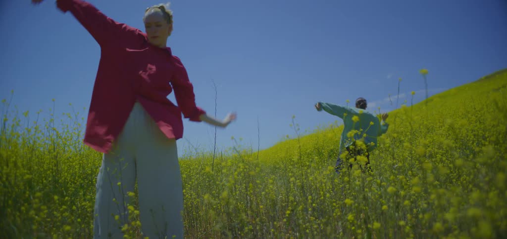The video shows a person in a red shirt and light pants dancing in a field of yellow flowers on a sunny day another person in a light blue shirt is dancing further up the hill behind them