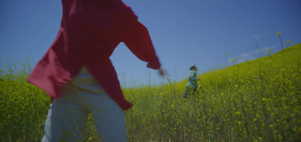 The video shows a person in a bright red shirt and a person in a light blue shirt dancing in a vast field of yellow flowers under a clear blue sky they perform graceful and intentional movements each occupying their own space but creating a harmonious s