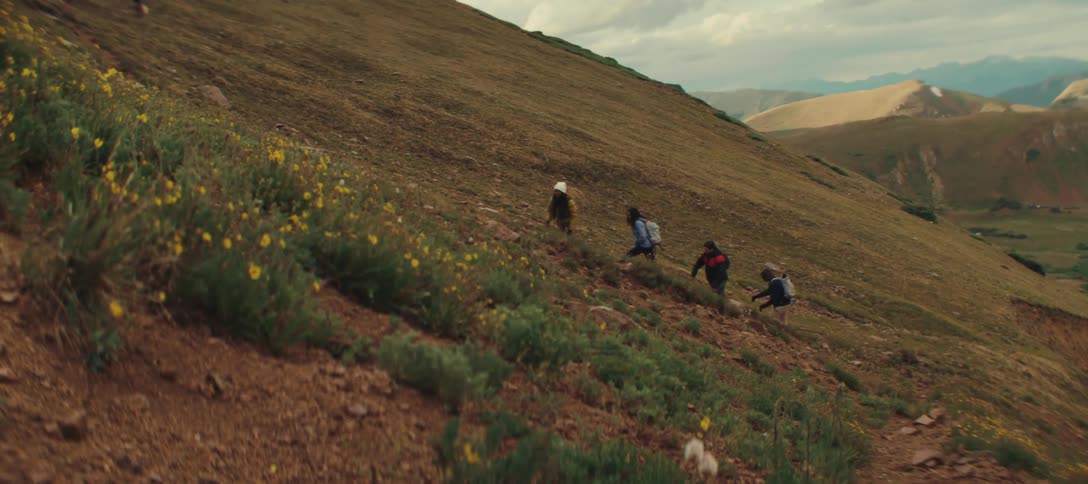 Hikers ascend a steep slope covered with wildflowers