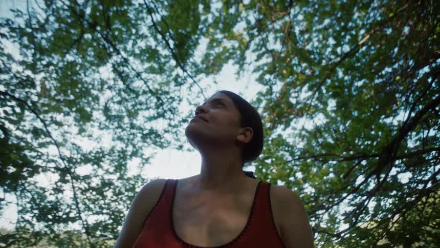 A person looks upward while standing under tall green tree