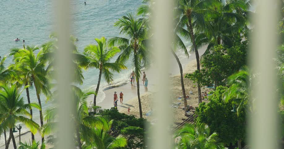 Top view shows people enjoying the beach surrounded by palm trees