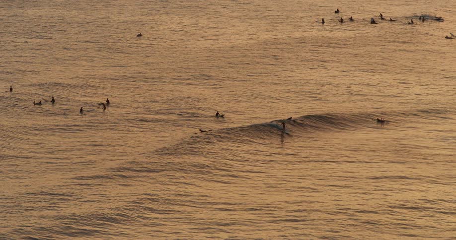 A group of surfers waits in the ocean at sunset
