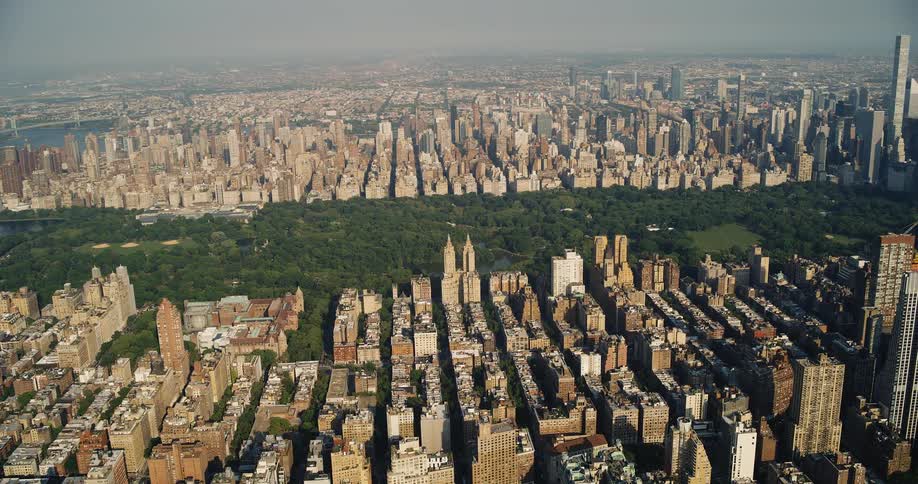 Aerial panorama of a metropolis with a large forest of trees and the sea in the background