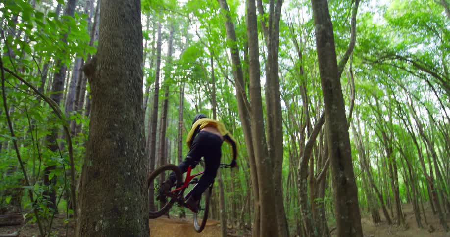 A cyclist rides through a dense forest trail