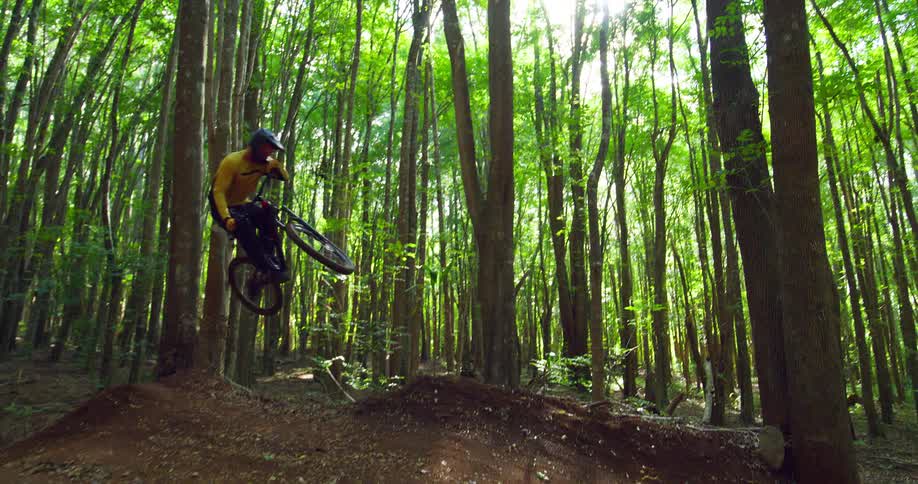 Cyclist jumps with the bike on a dirt trail surrounded by tall trees