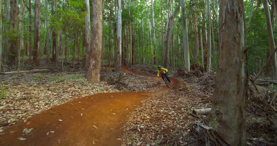 A young person rides a bicycle through a path in a woodland area during daytime