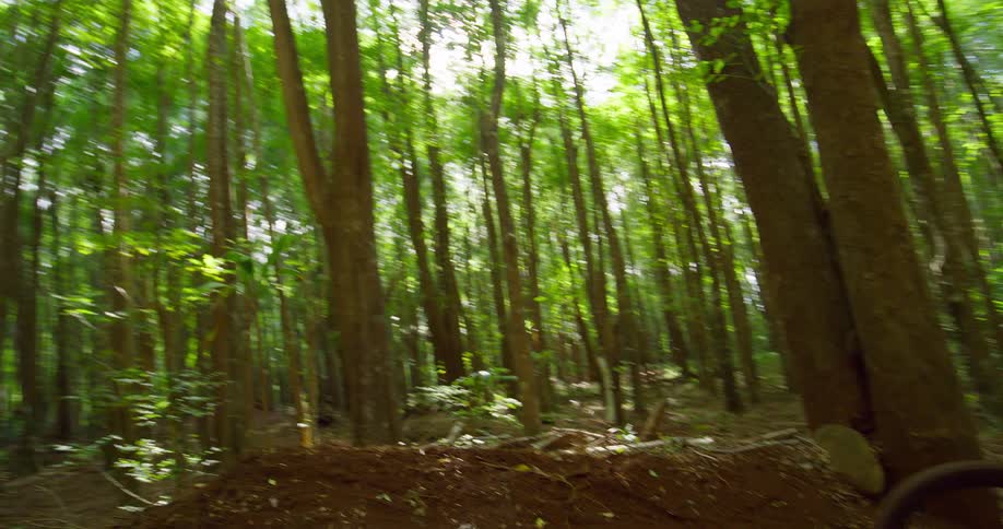 A person on a mountain bike jumps off a dirt ramp in a forest