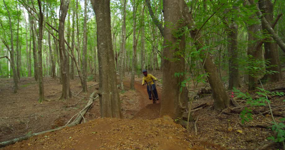 A man riding a mountain bike in the woods jumping between two trees at midday