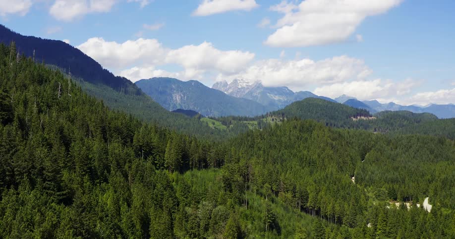 A beautiful aerial shot flies over a vast dense pine forest revealing rolling green mountains and a snowcapped peak in the distance