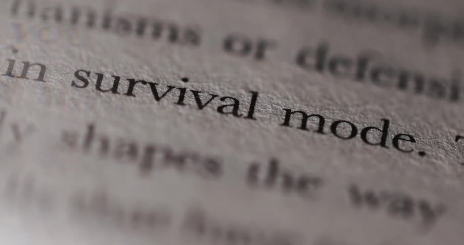 A book with a series of texts including a passage that reads in survival mode