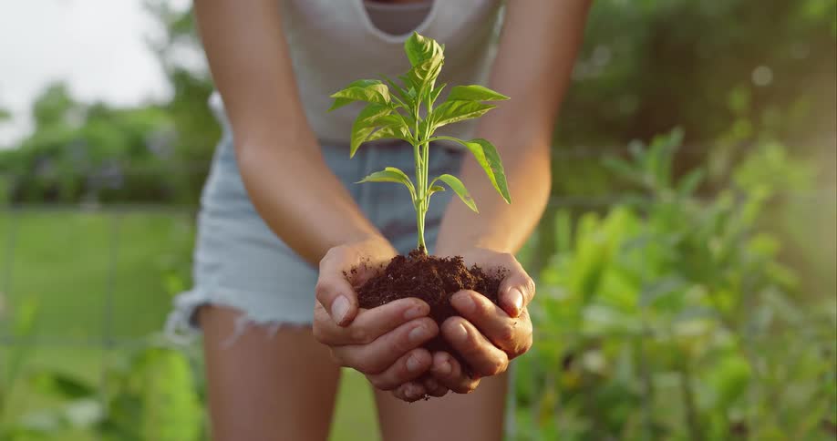 Close up of a young woman holding a garden plant with its soil base while standing outdoors during daytime