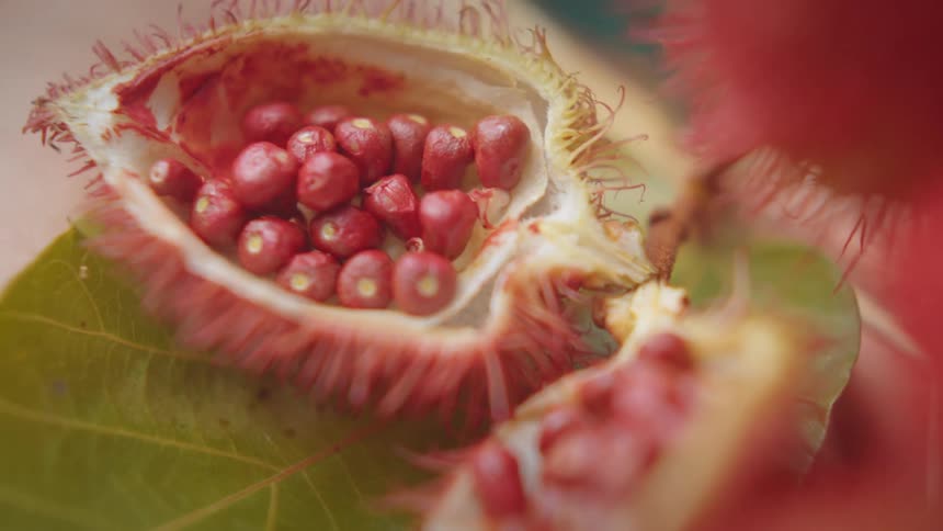 A piece of fruit is full of red seeds