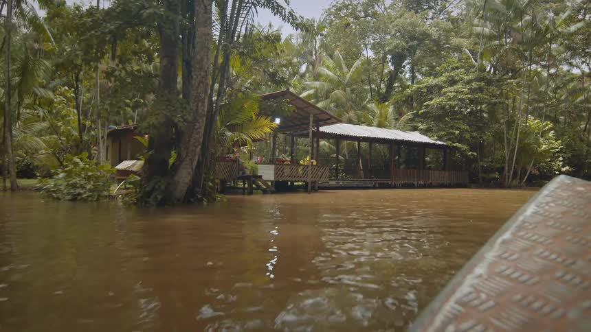 A boat makes its way through the swamp toward a house