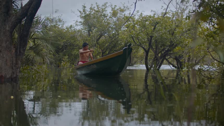 Shirtless man paddling a canoe among trees in a flooded area