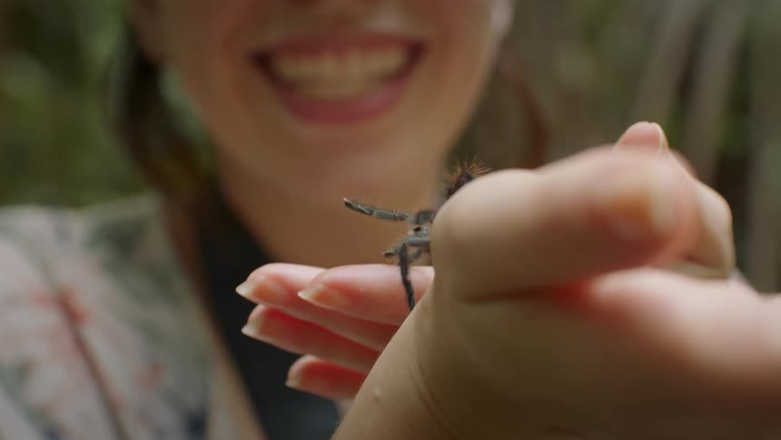 The spider is crawling on the womans hand