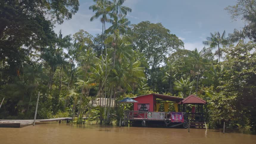 Riverside house painted in bright colors surrounded by palm trees and tropical vegetation