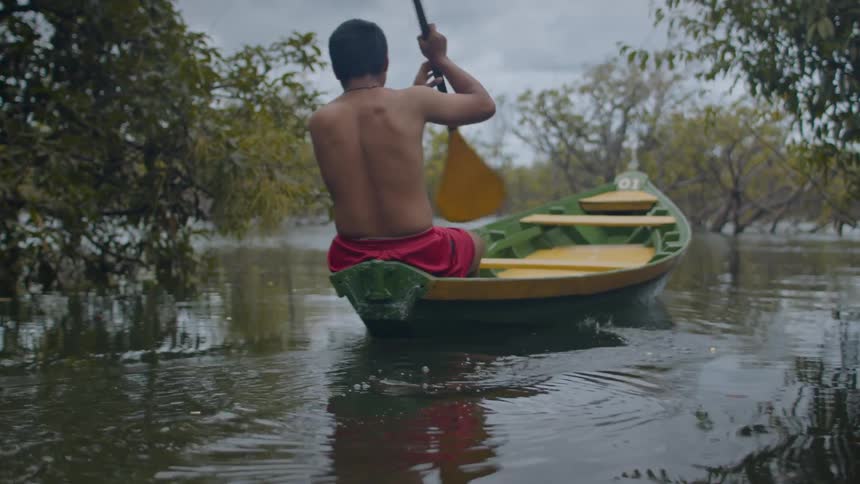 Man paddling a canoe through flooded vegetation