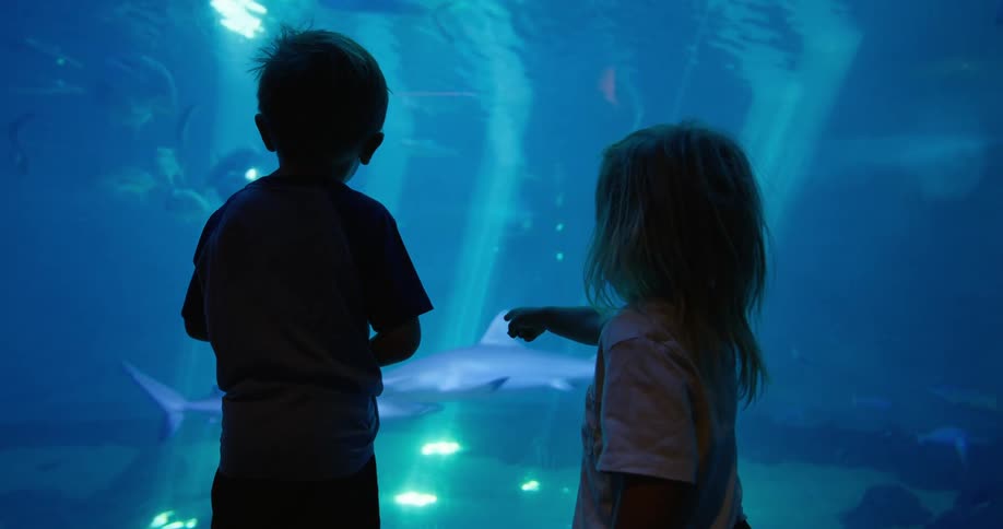 Children watching a shark in a bluelit aquarium