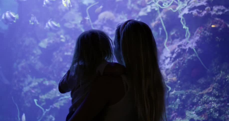 Woman holding a child while pointing at fish in an aquarium