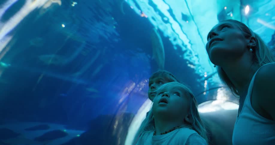 A family in an underwater aquarium tunnel all looking up in awe at the fish and sharks swimming overhead in the deep blue water