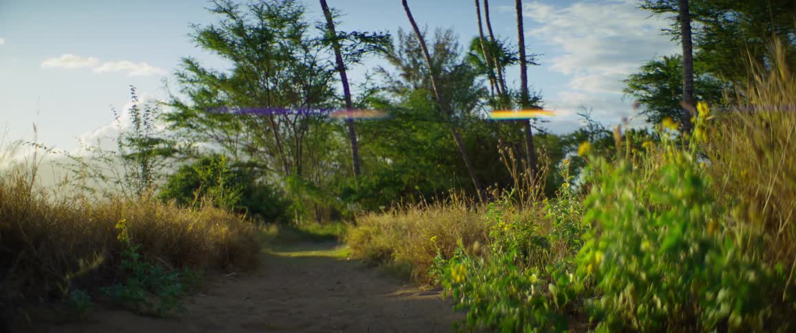 Sandy trail surrounded by green and dry vegetation with trees in the background under a partly cloudy sky