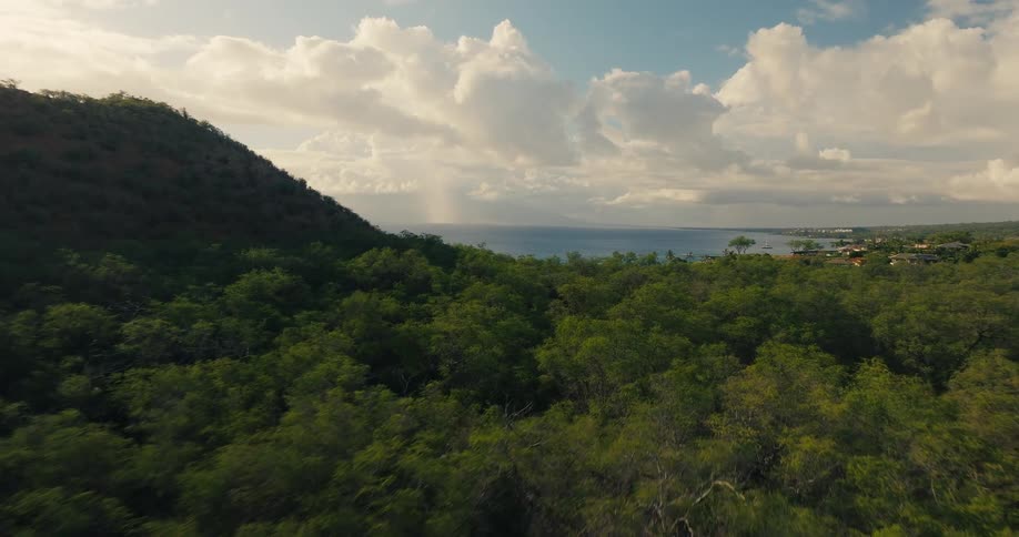 Hill covered with vegetation overlooking the sea in the background