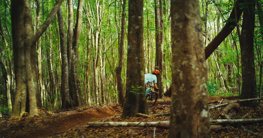 A man bikes through a forest