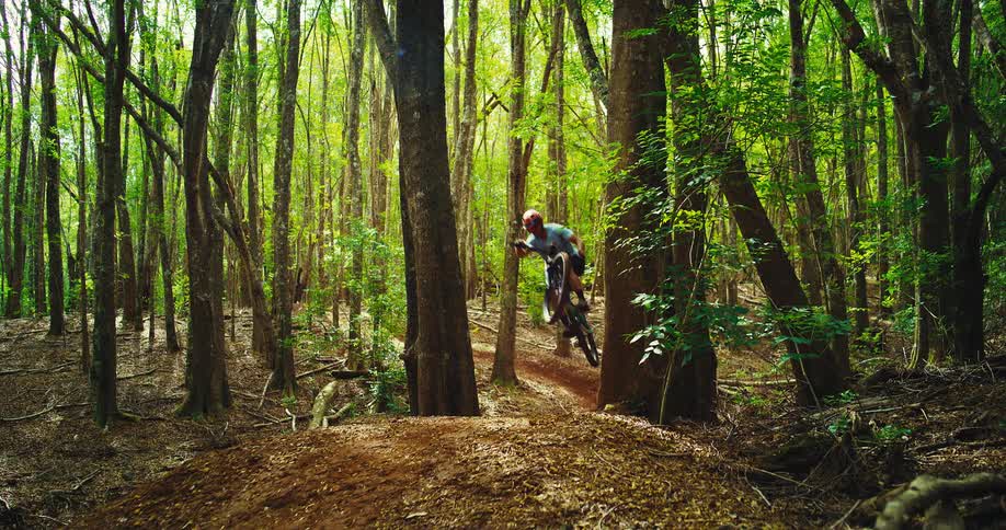 A man riding a mountain bike in the woods jumping between two trees at midday