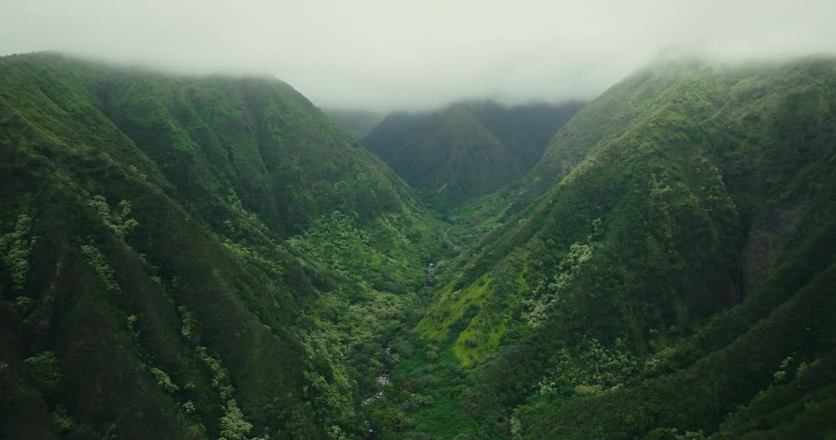 Aerial view of a lush green valley with misty steep mountains
