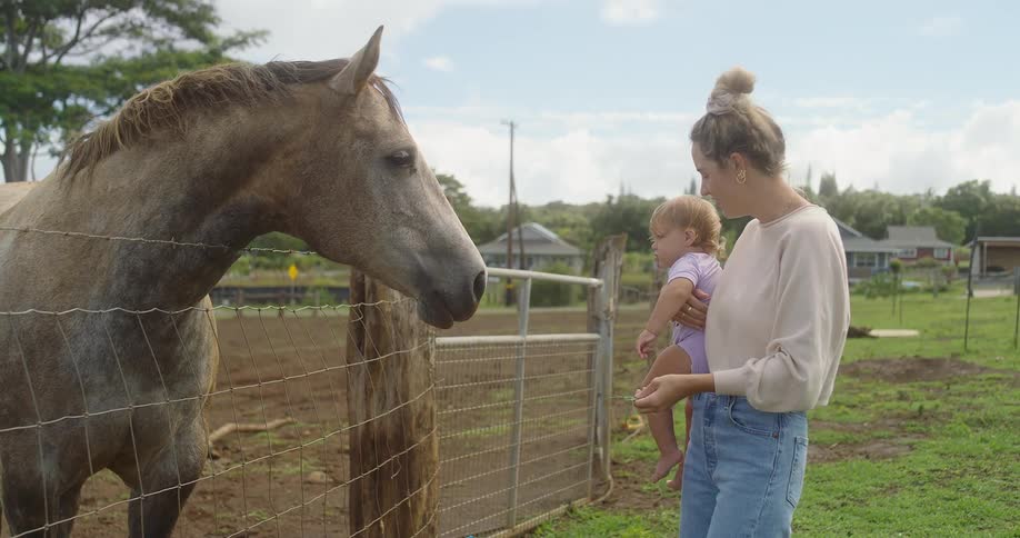 The mother is showing a horse to her baby