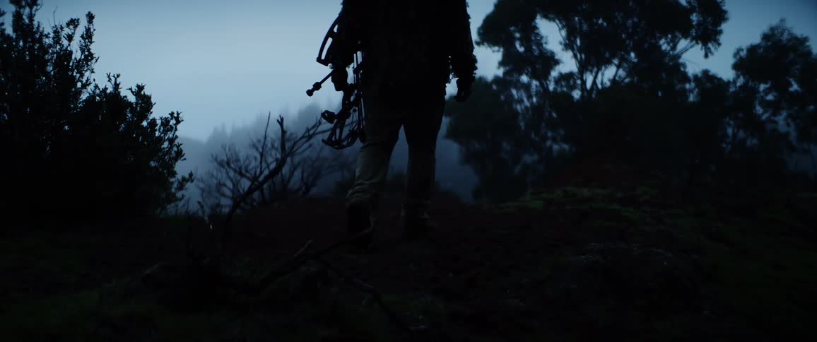 Bow hunter pauses in foggy predawn woods