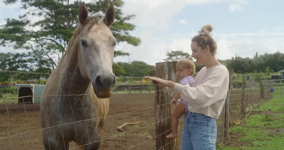 Mom and toddler greet a calm horse at a ranch