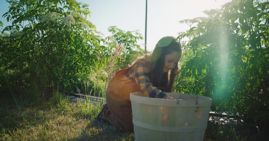 The girl is gathering in the garden