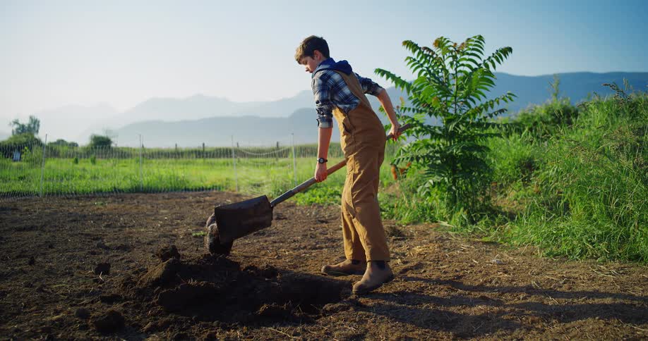 The teenager is digging while the chicken watches