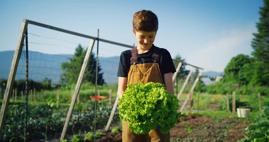 Happy child holding freshly harvested green produce from a garden in the countryside
