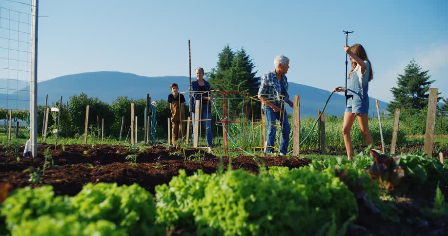 People are working on the farm pulling out a hose