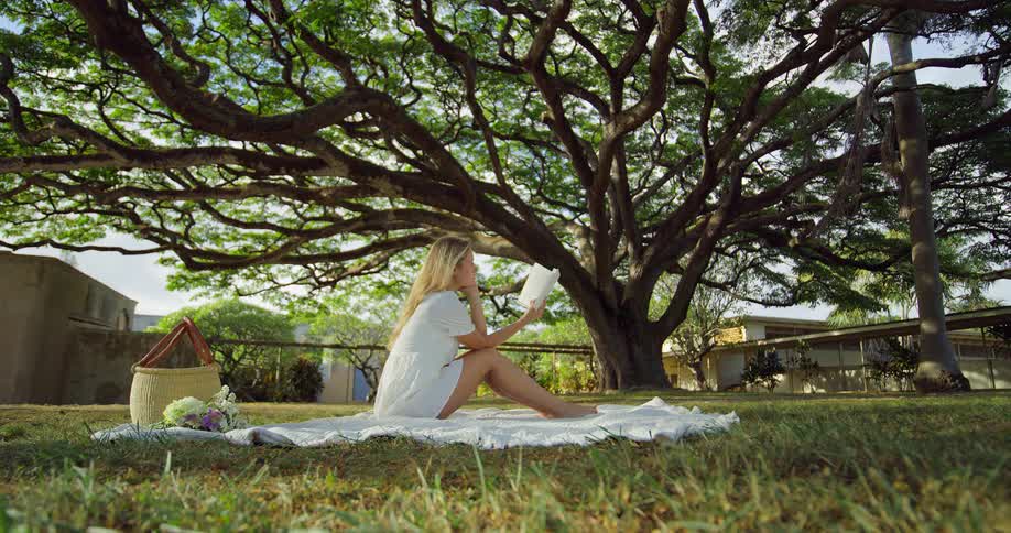 The woman is sitting under the tree reading on a picnic