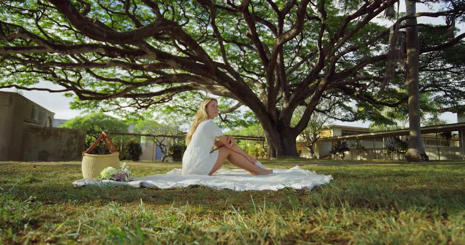 A woman sits on a picnic blanket beneath a large tree in a park