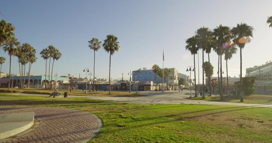 A camera pans down from a clear blue sky revealing a line of tall palm trees the shot then widens to show the street and buildings of a coastal park on a sunny day