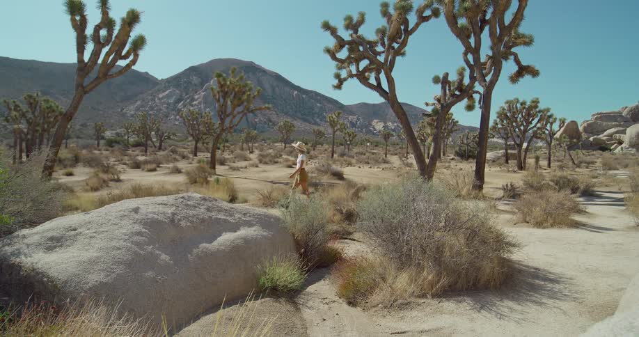 A young woman wearing a widebrimmed hat walks through a desert landscape with joshua trees and large rocks the camera follows her from a distance showing the expansive arid environment
