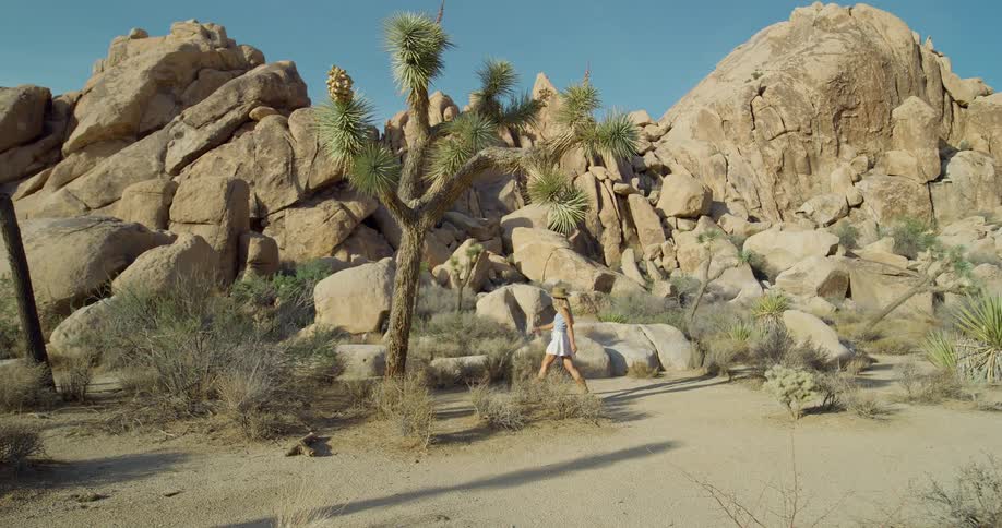 Woman walks on trail surrounded by rocks and desert trees