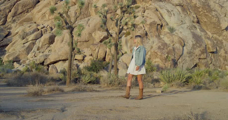 A woman strolls through a warm desert scene