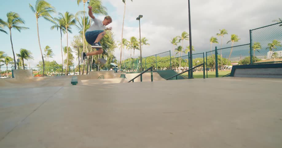 Skater catches air over a ramp at a sunny palmlined park