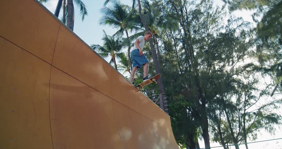 Lowangle view of a skater rolling down a wooden ramp with palm trees in the background