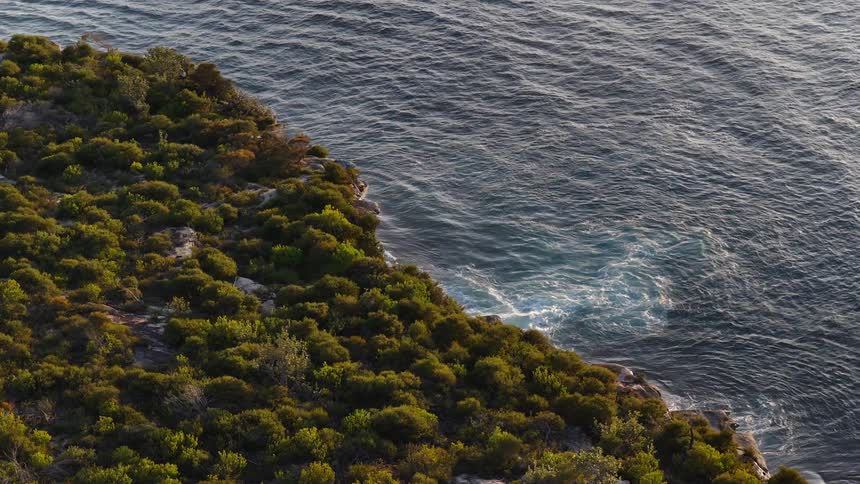 A highangle shot captures the deep blue ocean as small waves gently lap against a green rocky coastline