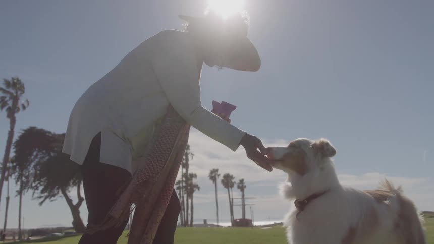 Woman at a park near a beach feeding her dog treats on a sunny day