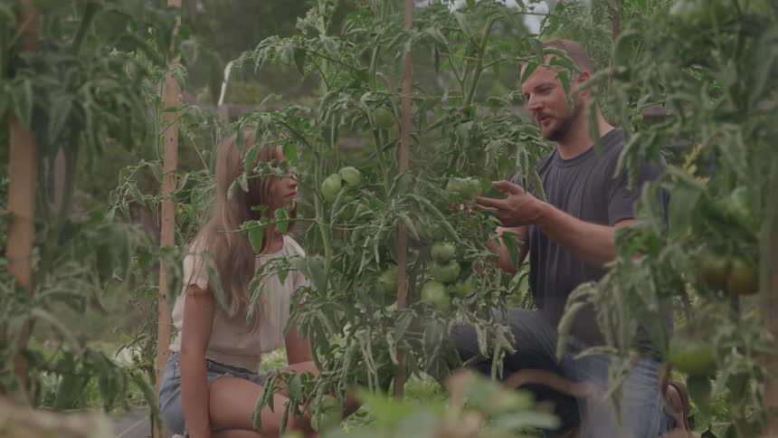 A father talks with his daughter while checking crops
